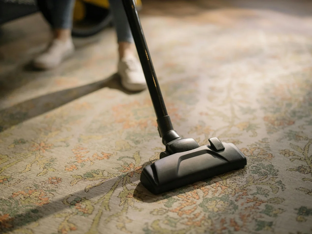 Professional carpet cleaning service