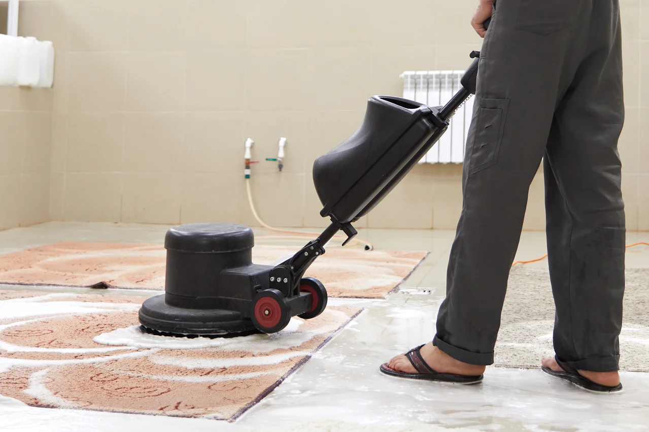 Professional carpet cleaning service
